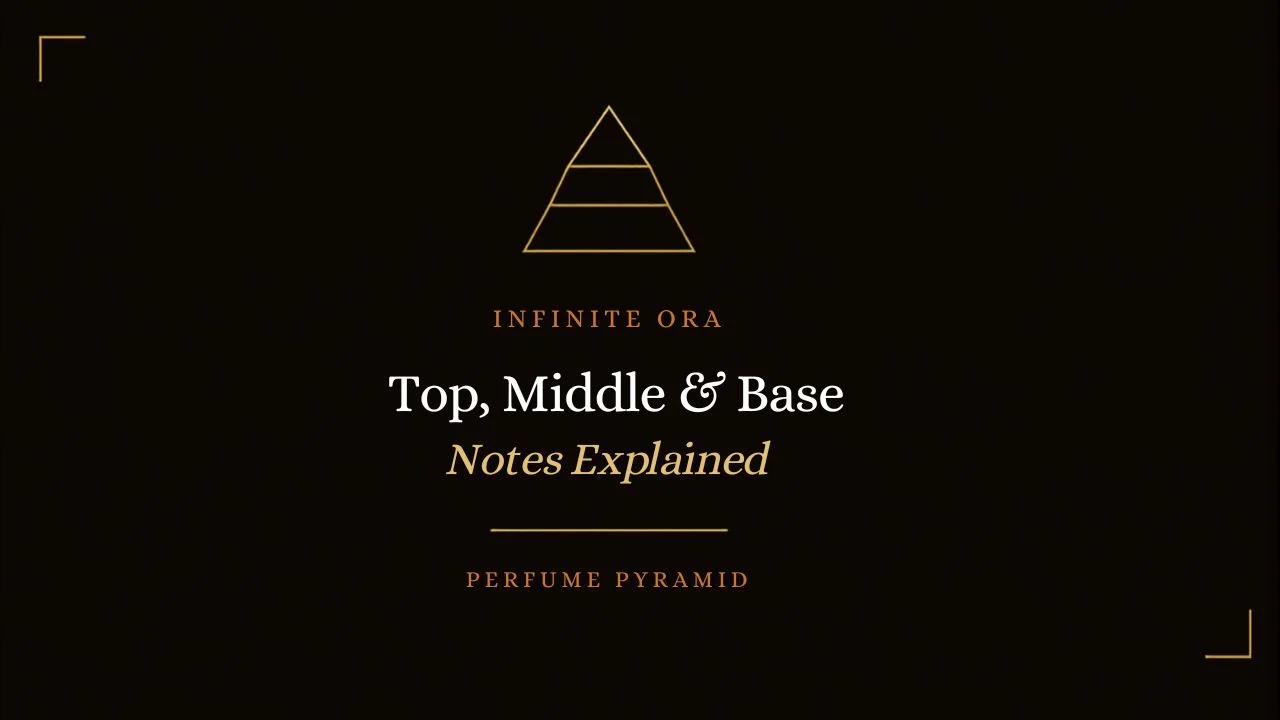 Top, Middle Aur Base Notes - Perfume Pyramid